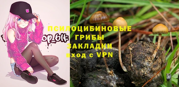 мдпв Сафоново