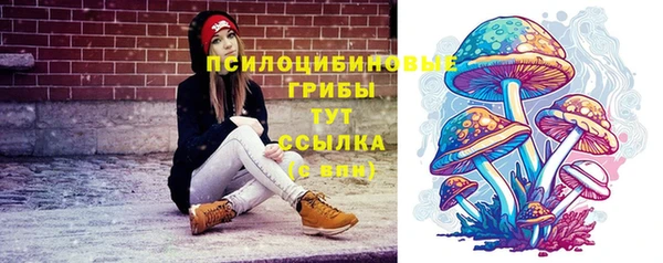 мдпв Сафоново