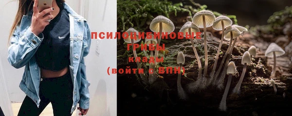 мдпв Сафоново