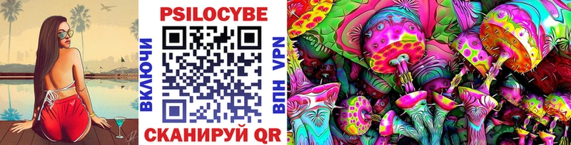 Галлюциногенные грибы Psilocybine cubensis Орехово-Зуево
