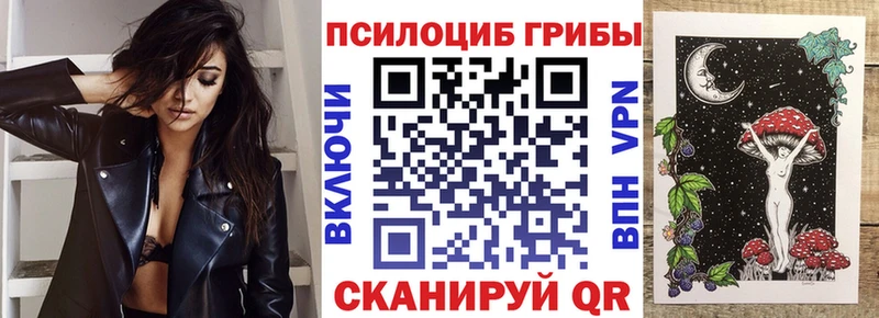 где найти   Орехово-Зуево  Псилоцибиновые грибы прущие грибы 